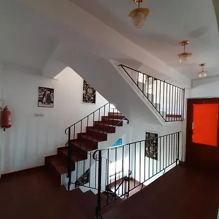 Vila Albatros בית הארחה קונסטנצה